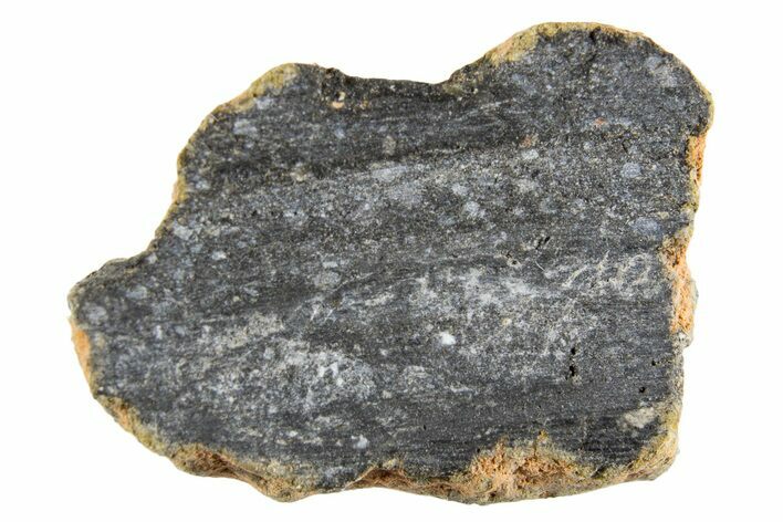 Polished Lunar Meteorite ( g) End Cut Slice - NWA #333172